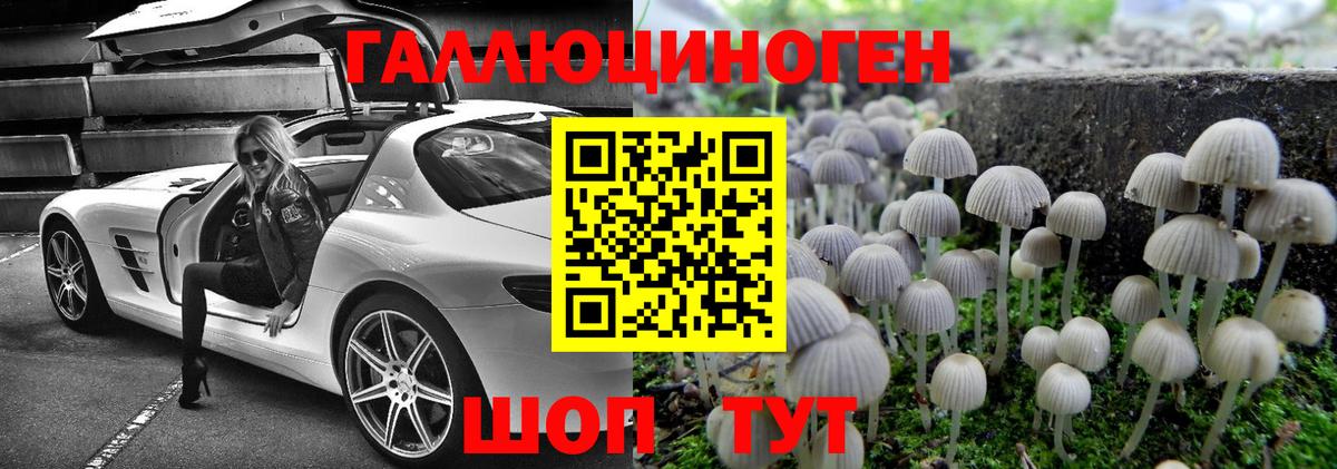 Галлюциногенные грибы мухоморы  Вход с VPN  Апатиты 